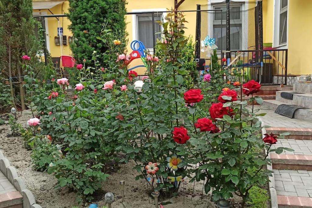 Color Home Hermannstadt 1 Zewnętrze zdjęcie