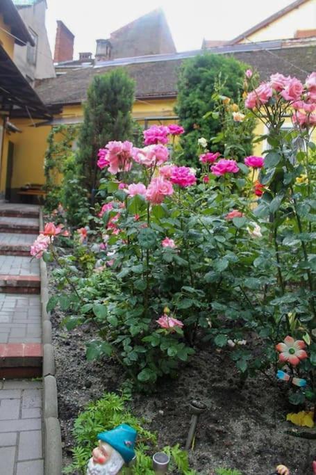 Color Home Hermannstadt 1 Zewnętrze zdjęcie